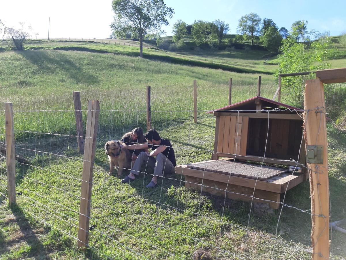 Eguzkitze Alojamiento Rural Lss00085 Abaltzisketa Exterior foto