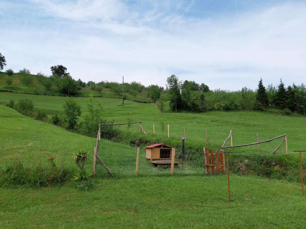 Eguzkitze Alojamiento Rural Lss00085 Abaltzisketa Exterior foto