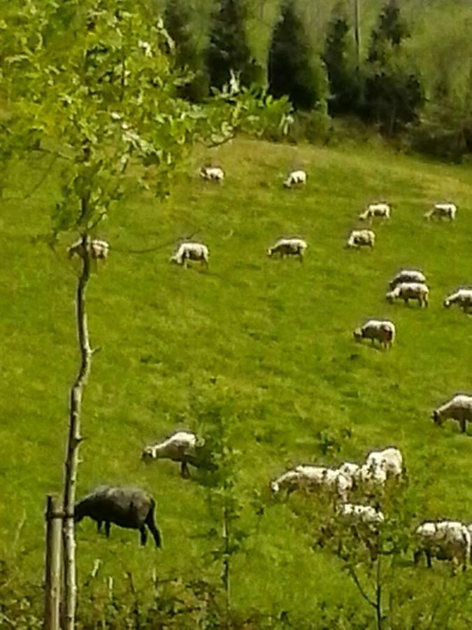 Eguzkitze Alojamiento Rural Lss00085 Abaltzisketa Exterior foto