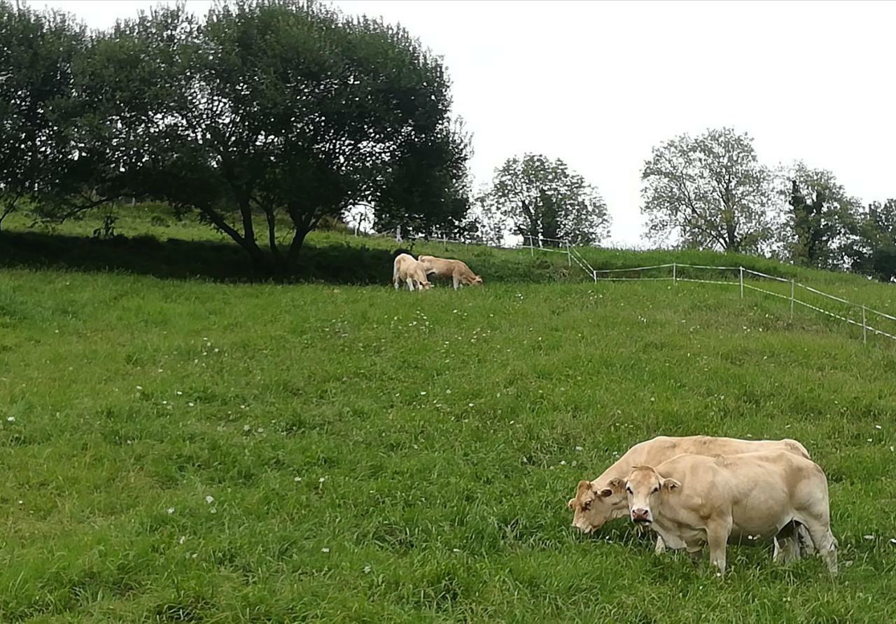 Eguzkitze Alojamiento Rural Lss00085 Abaltzisketa Exterior foto